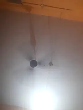 bodymassage455 online show from 04/01/26, 01:12