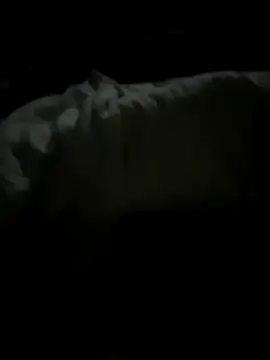 tundrata online show from 03/20/26, 01:43