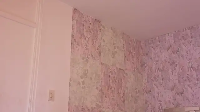 april summer  online show from 04/11/26, 08:24