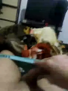 JoyousArray85 online show from 04/03/26, 06:39