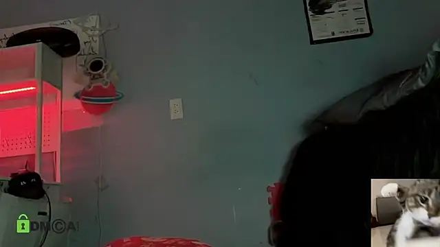 NatryDark online show from 05/16/26, 04:42