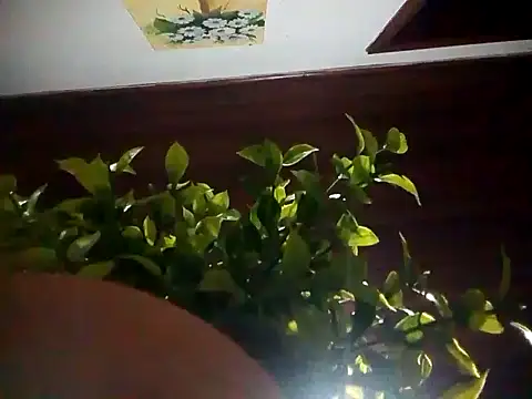 KikoKratos online show from 07/06/26, 03:03