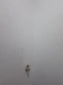 Aila Phone online show from 03/29/26, 02:06