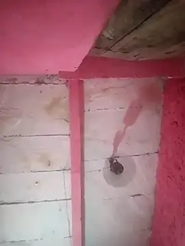 Mona ji32 online show from 04/03/26, 03:32