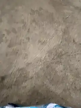 chutki deewana online show from 03/31/26, 05:41