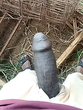 sanju 5418 online show from 04/11/26, 06:18