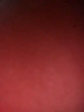 leidi-95- online show from 04/07/26, 03:34