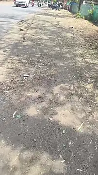 xyz 2giT online show from 03/23/26, 08:51