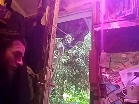 nearby causual online show from 07/01/26, 01:29