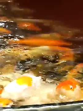 Enmy 24 online show from 04/12/26, 12:54