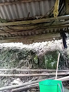 NIANIAKUTE online show from 03/27/26, 08:48