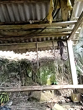 NIANIAKUTE online show from 04/06/26, 01:47