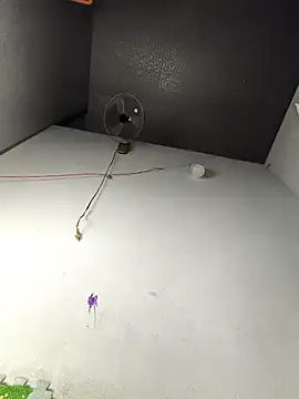 my33verything online show from 03/18/26, 02:09