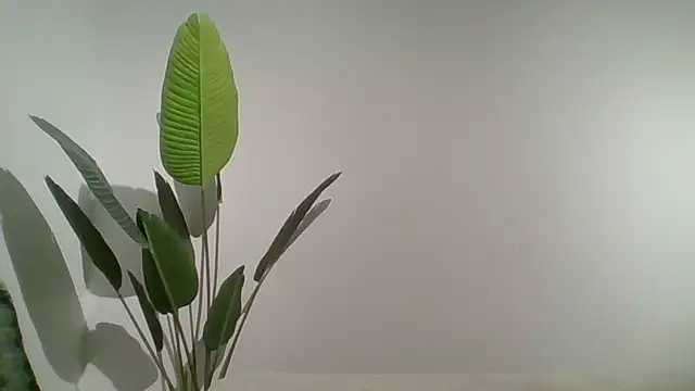 Couple qc online show from 05/25/26, 10:05