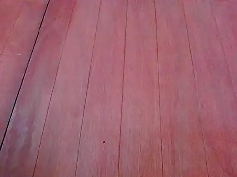 Annisof000 online show from 04/14/26, 06:47