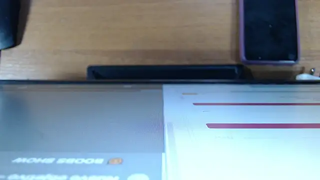 Snapshot of SofiaRoyal2308 chatting on 04/13/26, 03:56 SofiaRoyal2308 online show from 04/13/26, 03:56