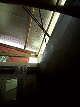 -Tiduta- online show from 03/29/26, 04:56