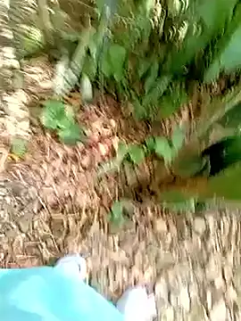 SabrinaVantress online show from 04/03/26, 07:23