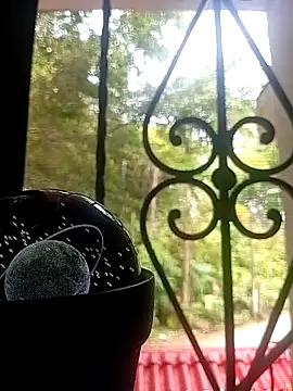 SabrinaVantress online show from 04/06/26, 04:52