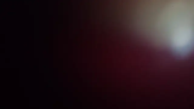 Snapshot of leilei998 chatting on 04/01/26, 11:11 leilei998 online show from 04/01/26, 11:11