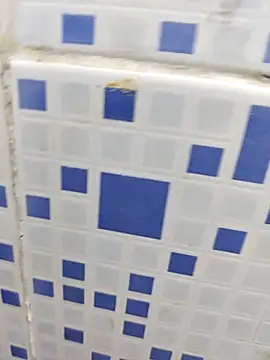 diljaan51 online show from 03/24/26, 10:59