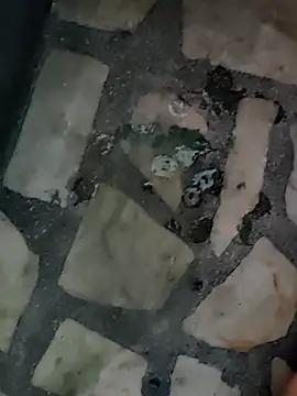 diljaan51 online show from 03/26/26, 04:40