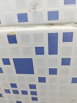 diljaan51 online show from 03/28/26, 02:11