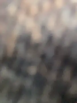 Anitta  LS online show from 04/02/26, 08:06