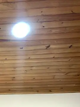 Snapshot of -Zoe_Jack- chatting on 04/08/26, 12:49 -Zoe Jack- online show from 04/08/26, 12:49