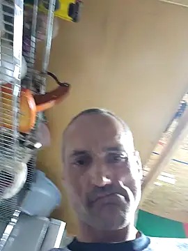 Brunogramata online show from 03/20/26, 03:44