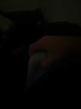 Snapshot of yassineamri chatting on 03/28/26, 01:22 yassineamri online show from 03/28/26, 01:22