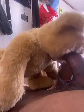 Bigcock127 online show from 03/26/26, 08:25