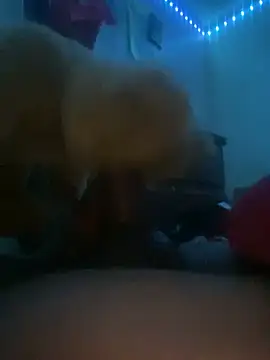 Bigcock127 online show from 03/31/26, 08:37