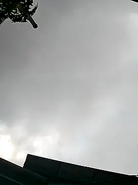 Snapshot of Cute-flowers chatting on 03/21/26, 02:38 Cute-flowers online show from 03/21/26, 02:38