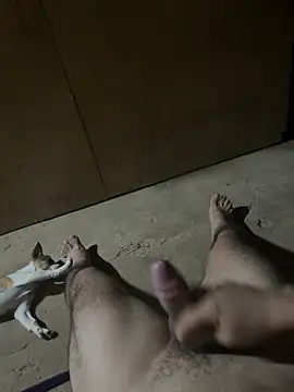 calientechicoloko online show from 03/26/26, 11:32