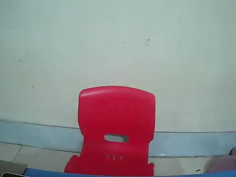 lusa baby online show from 03/25/26, 06:08