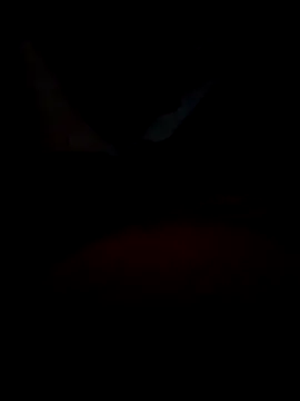 B S0051 online show from 04/10/26, 08:13