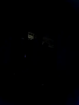 Marianatrans01 online show from 04/16/26, 06:14