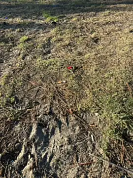 Snapshot of Kadenj92 chatting on 04/04/26, 03:20 Kadenj92 online show from 04/04/26, 03:20