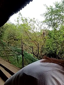 meg 06 online show from 03/27/26, 12:16