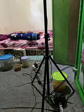 Snapshot of tukangcoli31 chatting on 04/13/26, 12:05 tukangcoli31 online show from 04/13/26, 12:05