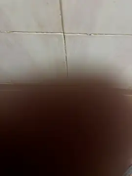 SingleBoy66666 online show from 04/06/26, 06:47