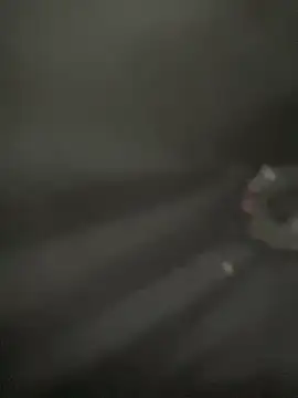 Lola666999 online show from 04/05/26, 02:25