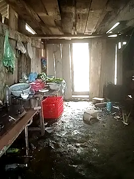 Lily Daisy online show from 03/25/26, 03:56