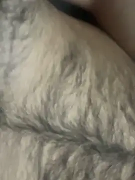 TurkishBoyzs online show from 04/11/26, 07:29