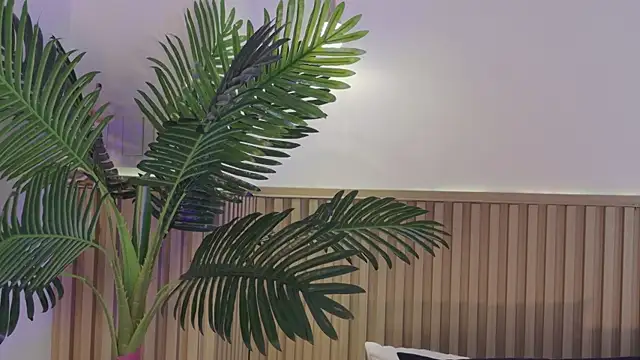 Aly leee online show from 04/01/26, 12:06