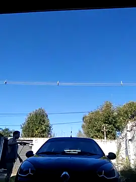 Switzerland32 online show from 04/12/26, 08:58