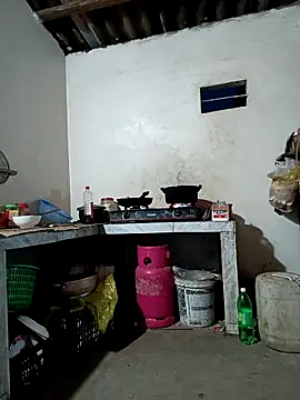 Aurora Nova online show from 04/15/26, 10:21