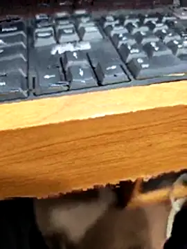 SLBL online show from 03/27/26, 05:46