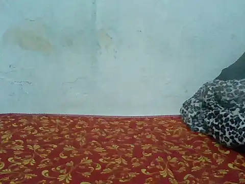 Rato250 online show from 04/08/26, 06:41